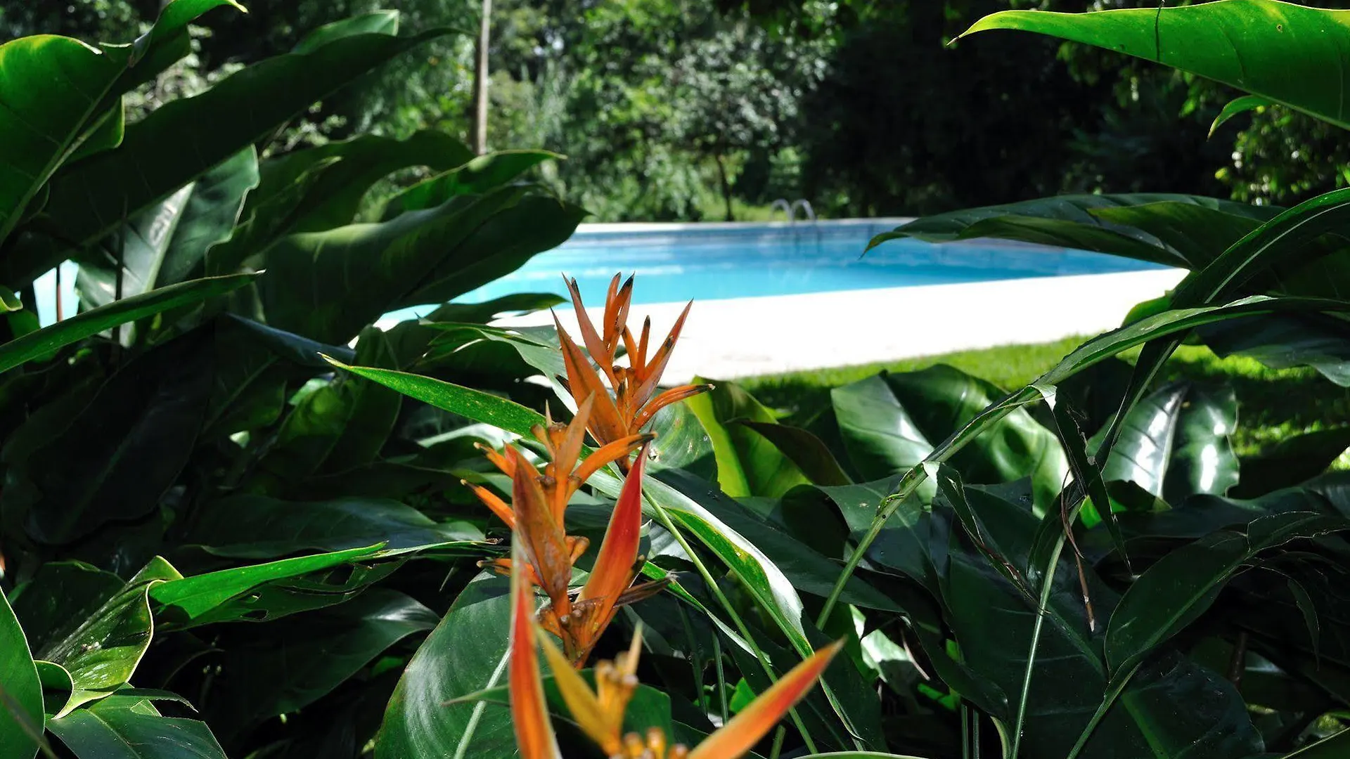 Hotel Rancho Baiguate Jarabacoa 3*,  Dominikanische Republik